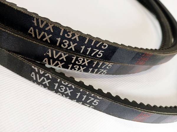 avx13-1175-remen-s-formovannym-zubom-foto