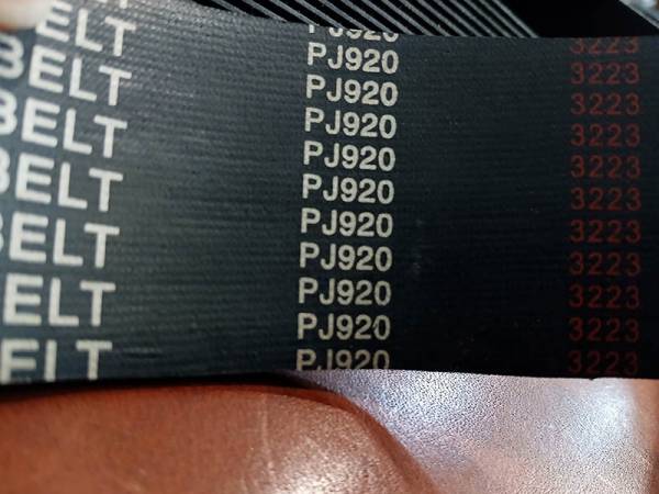 remen-poliklinovoy-24pj920-foto